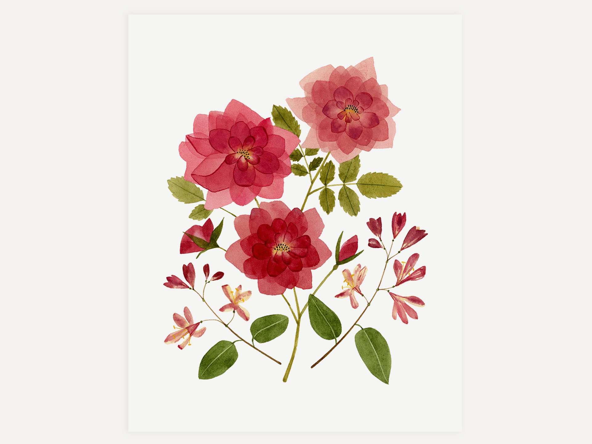 06+June+Rose-